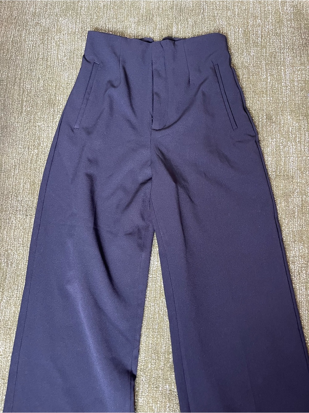 Zara Wide-Leg High Waist Pants in Black